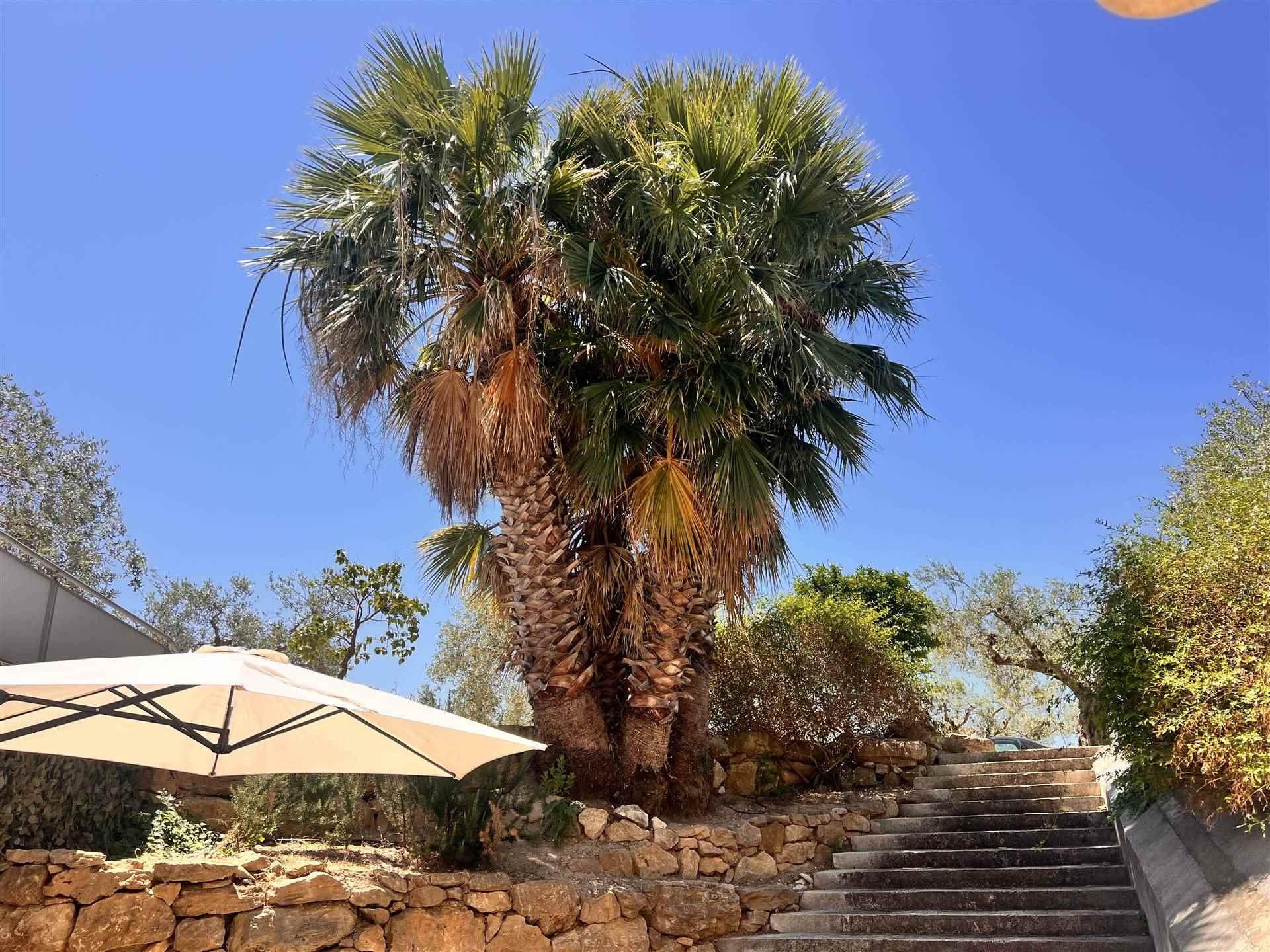 Villa in Via Rasola, Sciacca
