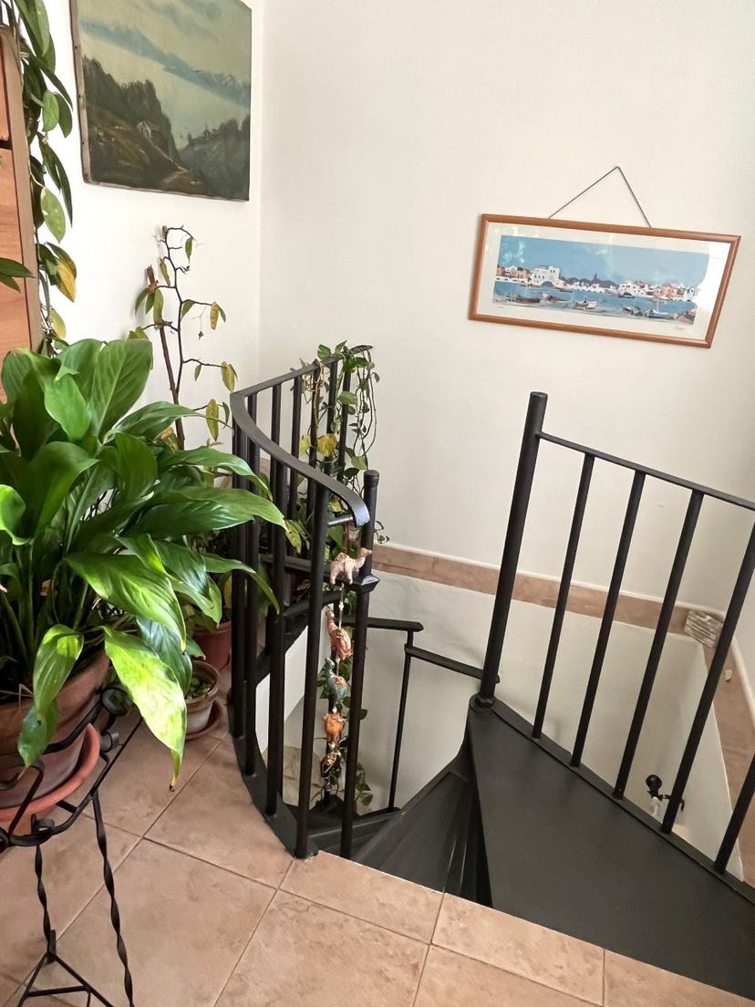 Casa indipendente in Strada Vicinale Agogna Torrion Quartara, Novara — foto 2 di 5