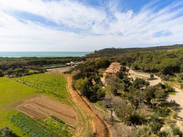 Trilocale in Località Serignano, Castiglione della Pescaia — foto 2 di 5