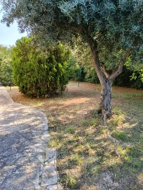 Bilocale, Statte — foto 2 di 5