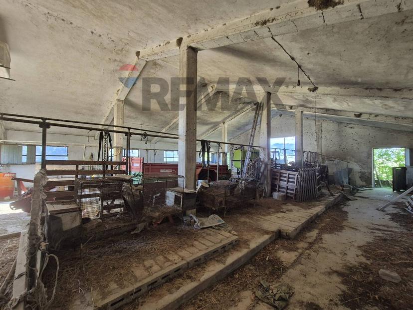 Rustico in Via Porrechi 6, Castel Frentano — foto 4 di 5