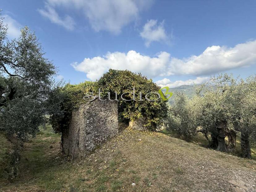 Rustico, San Biagio della Cima — foto 4 di 5