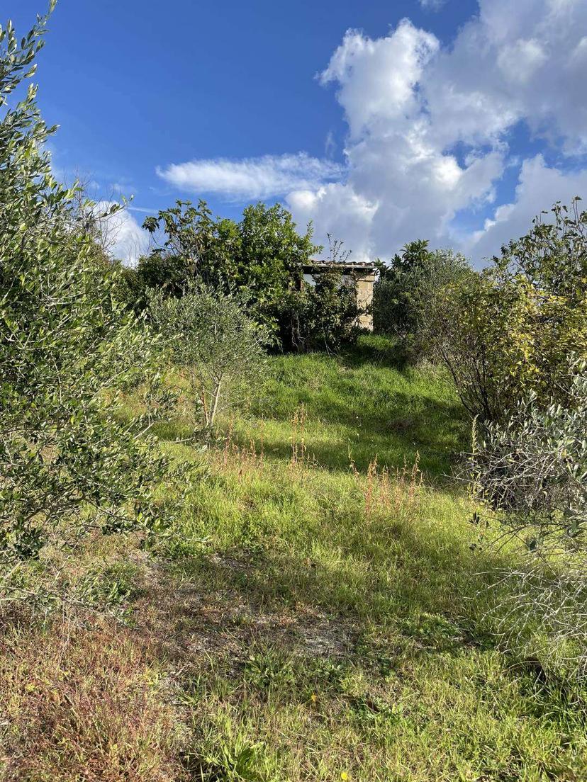 Rustico, Tuscania — foto 2 di 5