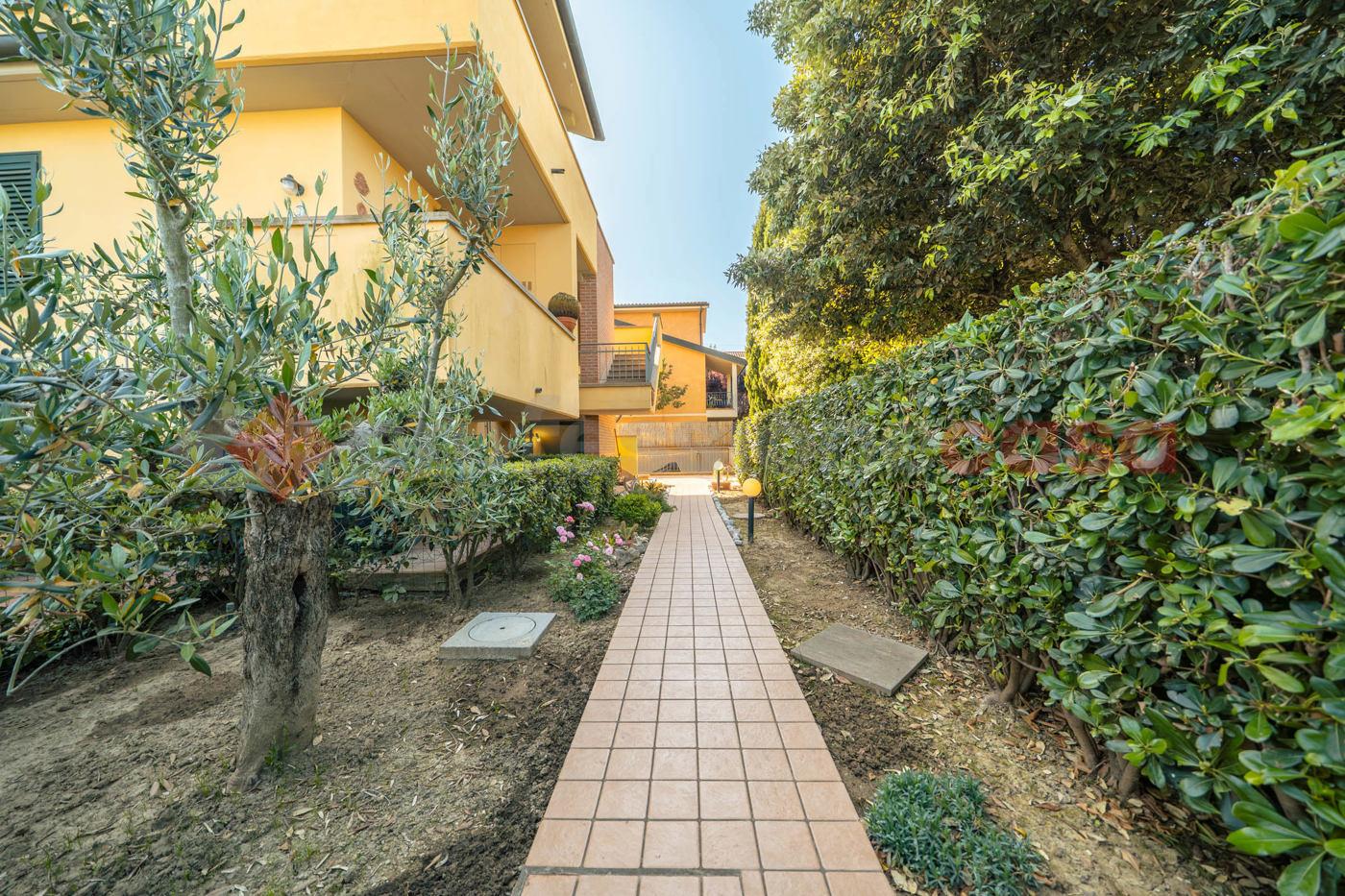 Trilocale, Montescudaio