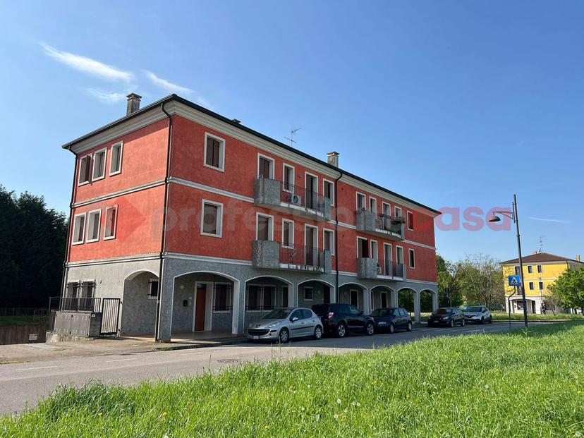 Trilocale, Montagnana — foto 4 di 5