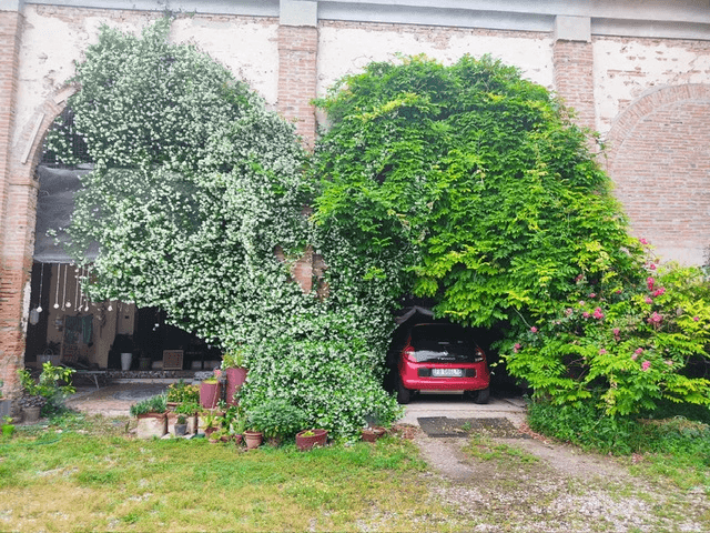 Casale in Via Pagano, Masi Torello — foto 3 di 5