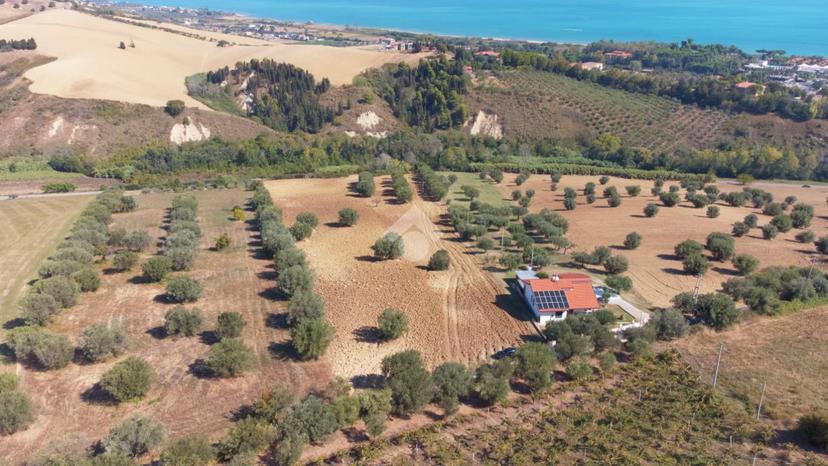 Rustico in Contrada Borsacchio, Roseto degli Abruzzi — foto 4 di 5