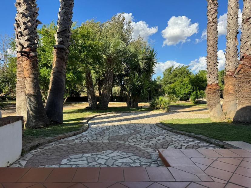 Villa in Strada Vicinale Fiusco, Tuglie — foto 4 di 5