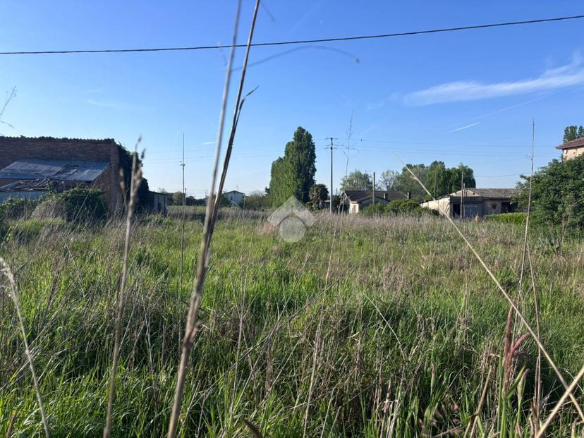 Villa in Via Argine Regio 1540, San Martino di Venezze — foto 5 di 5