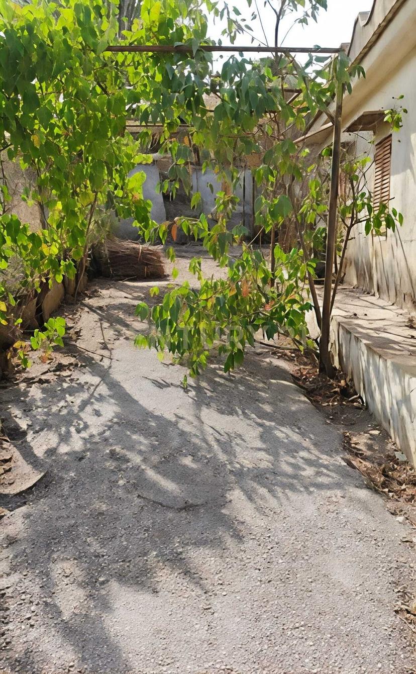 Villa in Via Filippa Miccichè Snc, Santa Cristina Gela — foto 5 di 5