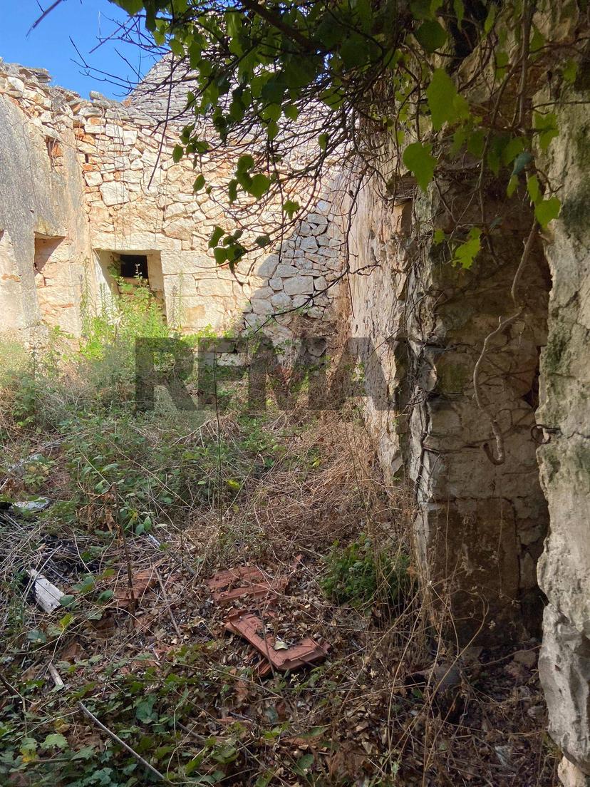 Abitazione tipica in Contrada Vecchia Snc, Noci — foto 5 di 5