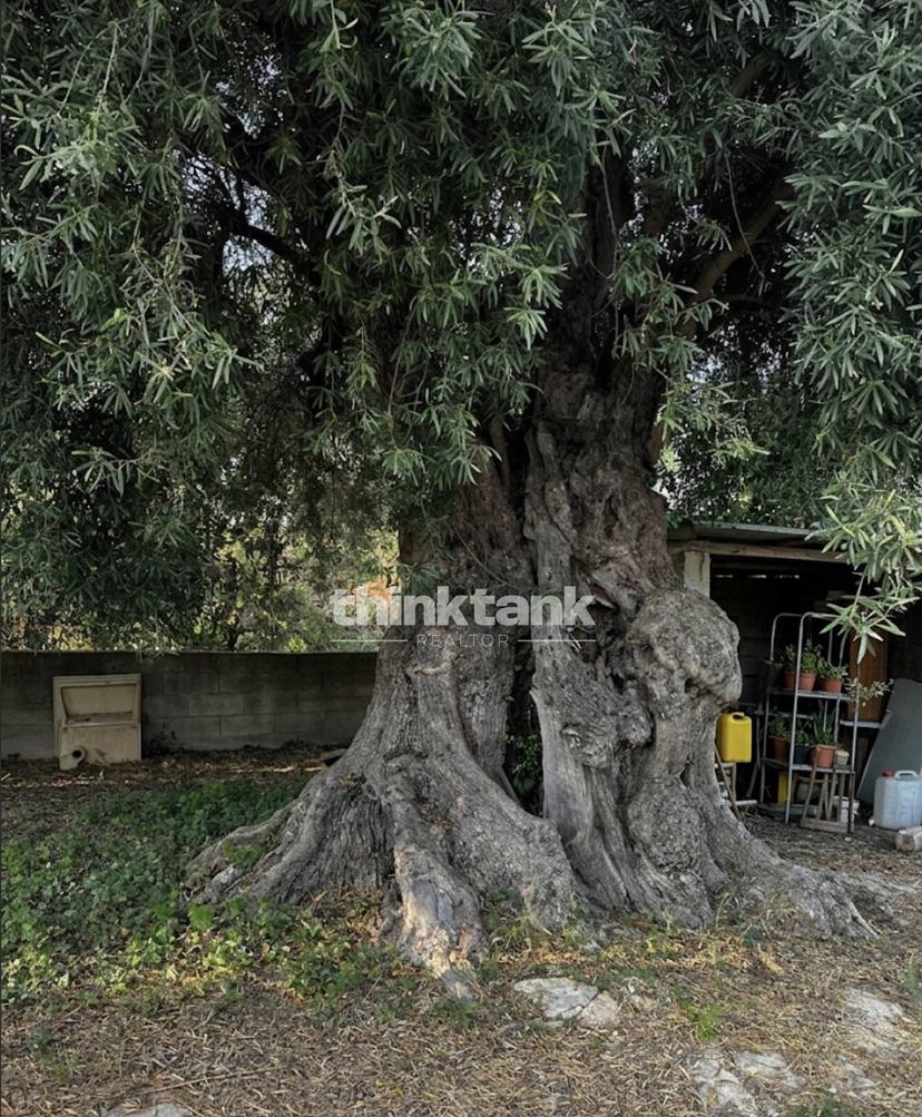 Villa in Strada Comunale Petrara, Avola — foto 5 di 5