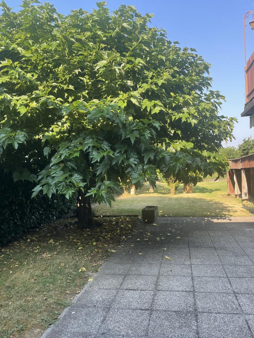 Casa indipendente in Via Nicolosi, Vicenza — foto 4 di 5