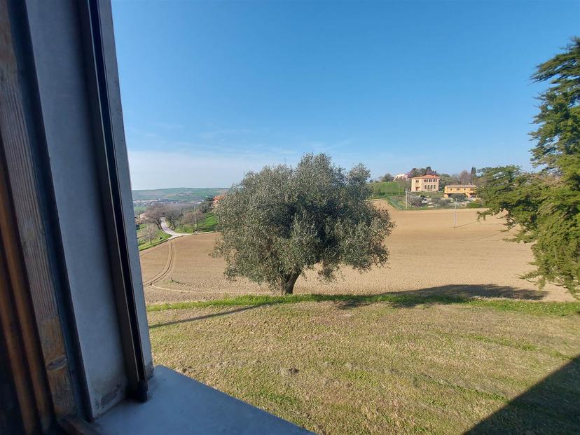Casa indipendente in Via  Olmi  Grandi, Corinaldo — foto 5 di 5