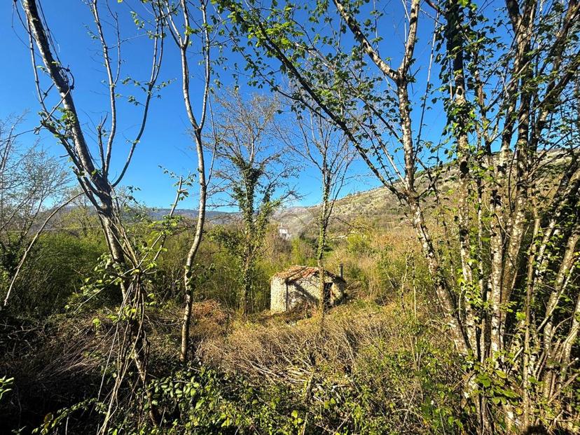 Rustico in Contrada Cagnano, Subiaco — foto 2 di 5