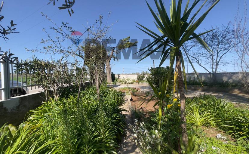 Villa, Santeramo in Colle — foto 3 di 5