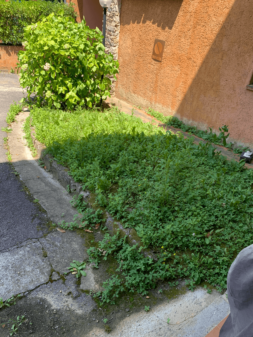 Open space in Via del Golf, Garlenda — foto 5 di 5