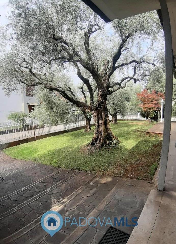 Villa in Via Gaetano Donizetti, Monselice — foto 3 di 5