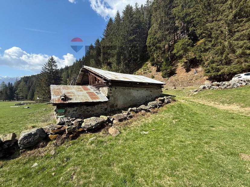Rustico, Peio — foto 5 di 5