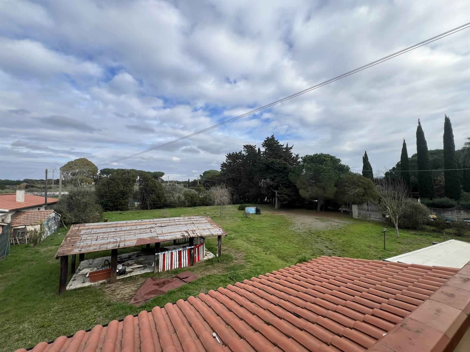 Rustico, Cecina