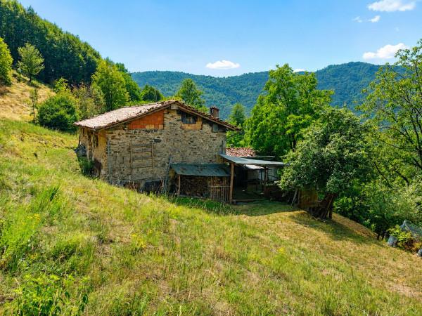 Rustico, Pertica Bassa — foto 3 di 5