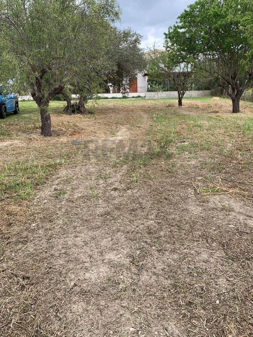 Villa in Via Pozzallesi d'America, Pozzallo — foto 3 di 5