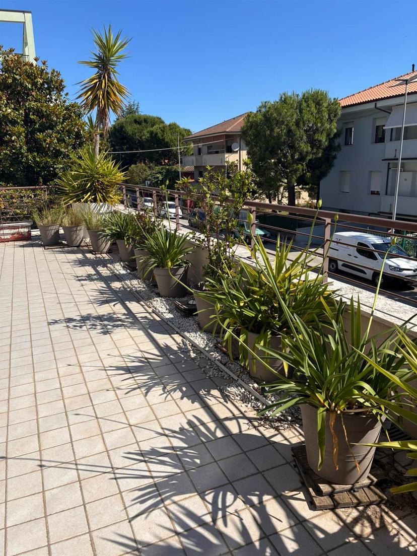 Quadrilocale, Civitanova Marche — foto 5 di 5