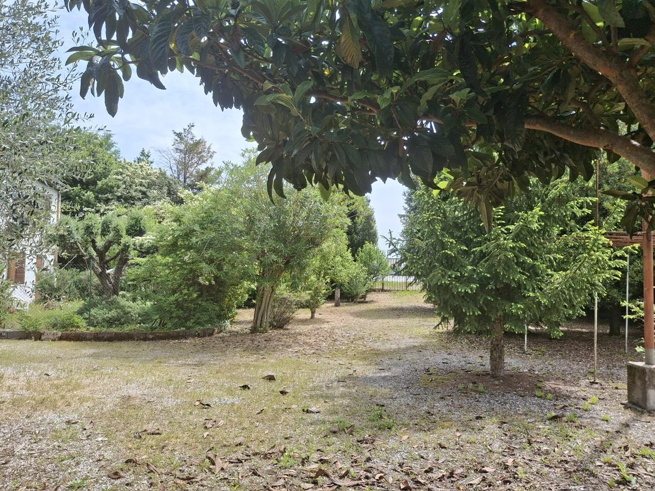 Casa indipendente, Monselice