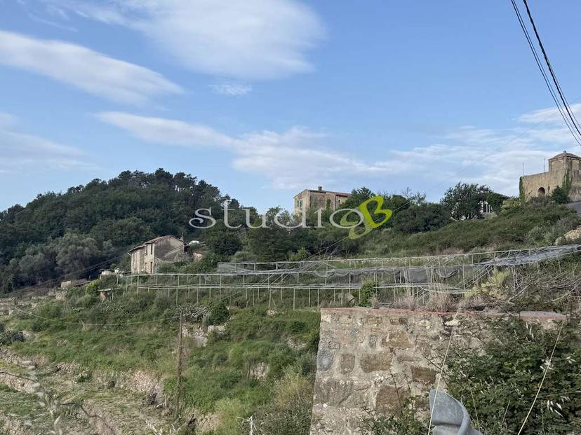 Rustico in Via San Sebastiano Snc, Vallebona — foto 5 di 5