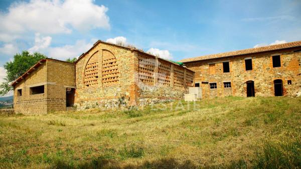 Casale in Via Vecciano, Cetona — foto 4 di 5