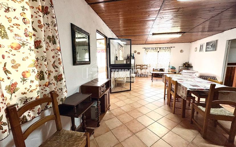 Villa, Civitavecchia — foto 4 di 5