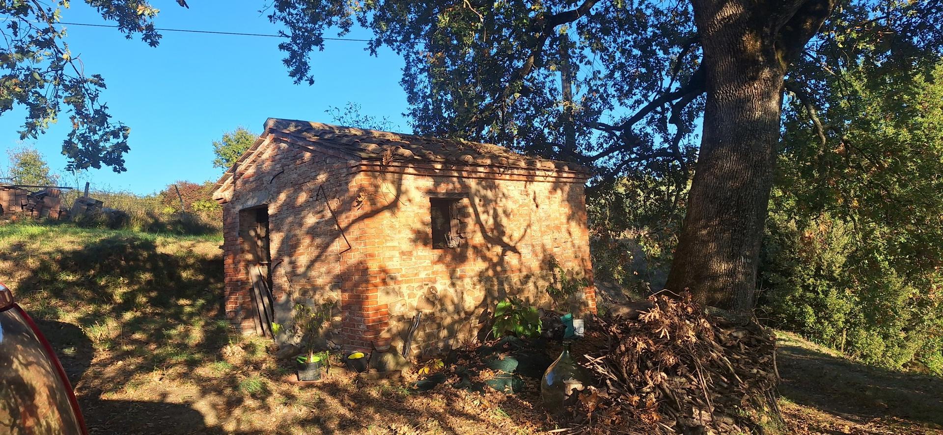 Rustico, Trequanda