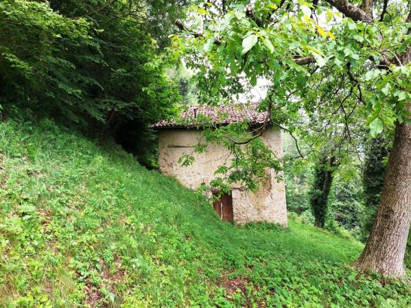 Cascina, Pertica Bassa — foto 2 di 5