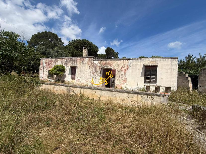 Rustico in Contrada Cozzana, Monopoli — foto 3 di 5
