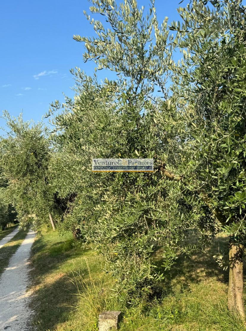 Casa indipendente in Via Vallone della Selva, San Felice del Benaco — foto 2 di 5
