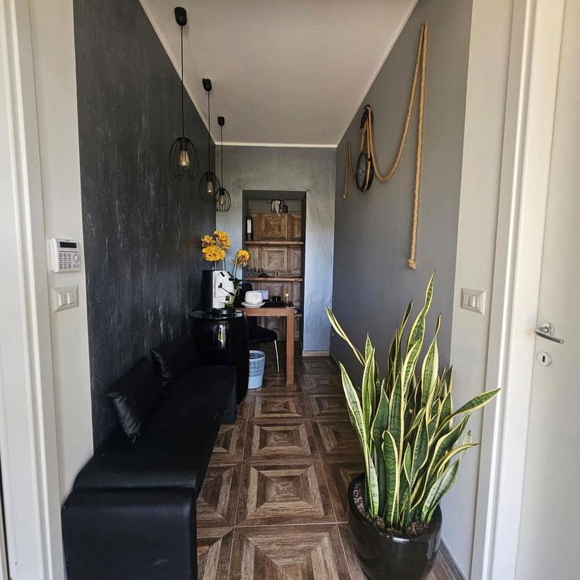 Casa indipendente in Contrada Olivella 1, Belvedere Marittimo — foto 3 di 5