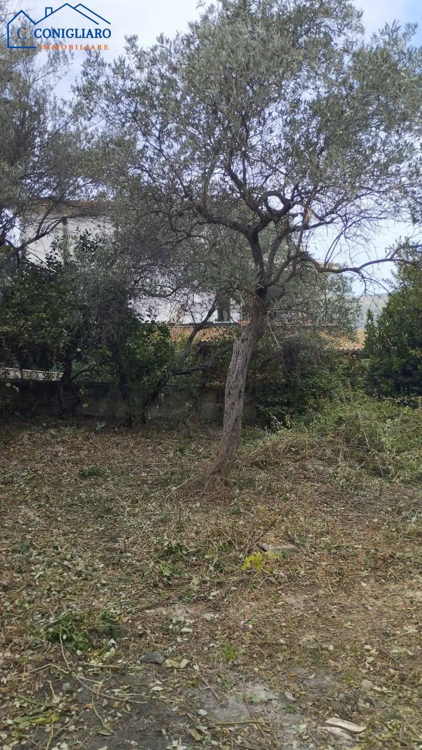 Rustico in Via Alexandros Panagulis, Torretta — foto 2 di 5