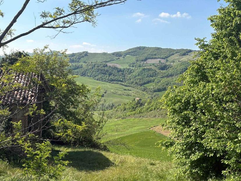 Casa indipendente, Piozzano — foto 3 di 5