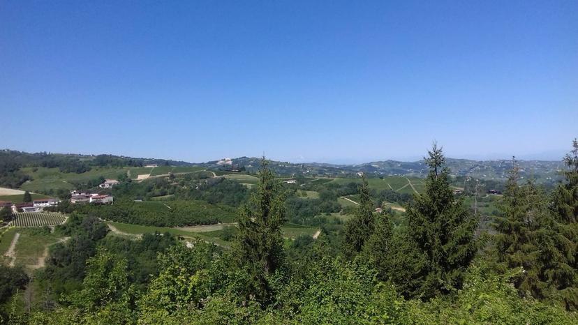 Rustico in Via Canelli, Cassinasco — foto 4 di 5