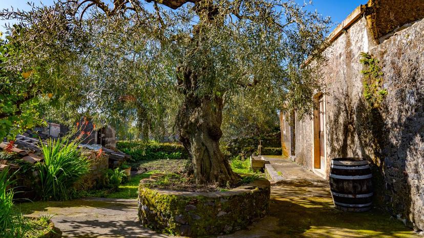 Casa indipendente in Via Vallone 33, Viagrande — foto 3 di 5