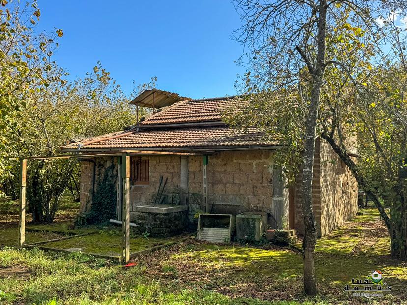 Casa indipendente, Sutri