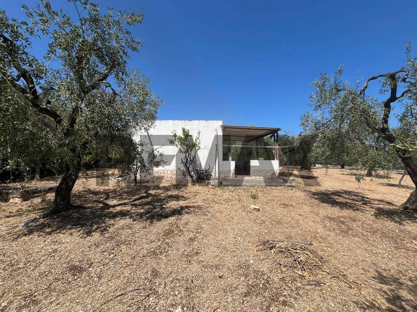 Villa in Località San Luca 5, Vieste — foto 5 di 5