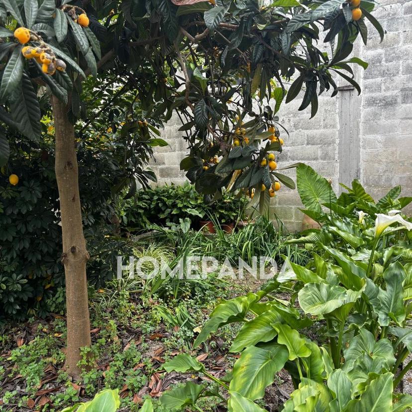 Casa indipendente in Via Osanna 32, Aradeo — foto 4 di 5