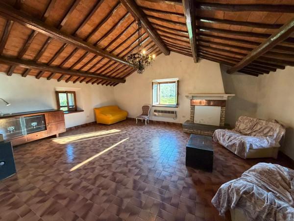 Casale in Vocabolo Bagno, Orte — foto 2 di 5