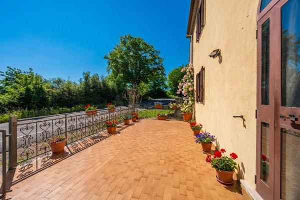 Villa a schiera in Strada Provinciale Scansanese, Scansano — foto 2 di 5