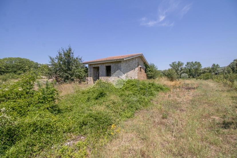 Casa indipendente in Via Rosce, Contigliano — foto 4 di 5