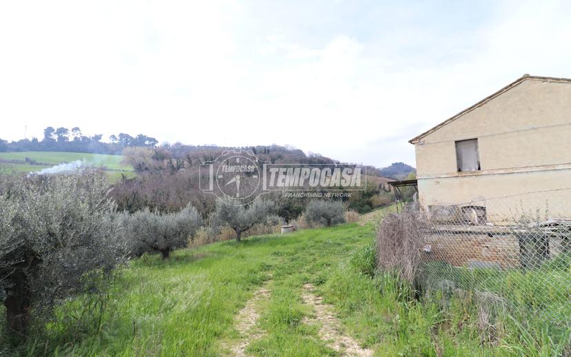 Casa colonica in Contrada Marezi 29, Massignano — foto 2 di 5