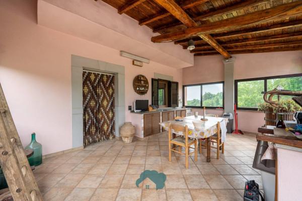 Villa in Via Colle Collecchie, Zagarolo — foto 5 di 5