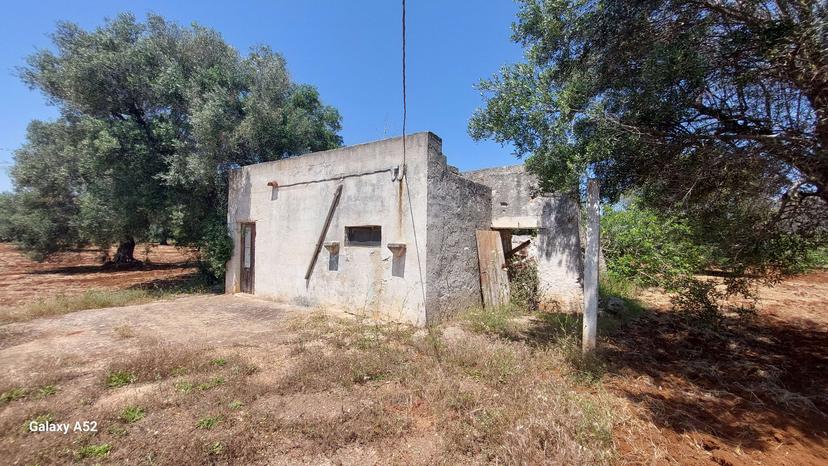 Rustico, San Vito dei Normanni — foto 2 di 5