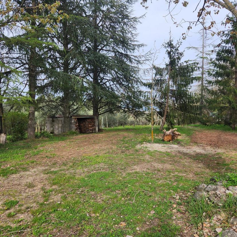Casa indipendente, Monterchi — foto 3 di 5